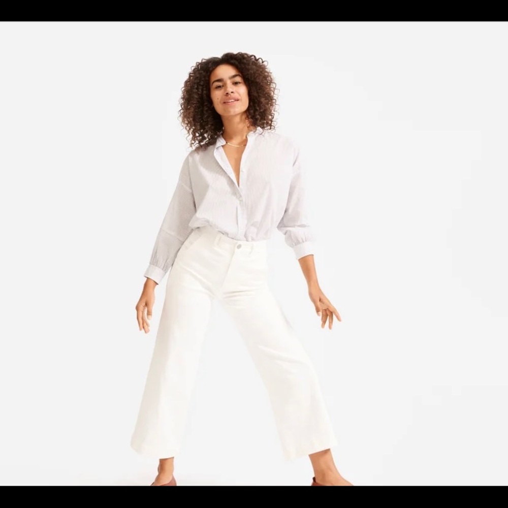 Everlane Wide-Leg Crop Pants (rare!)